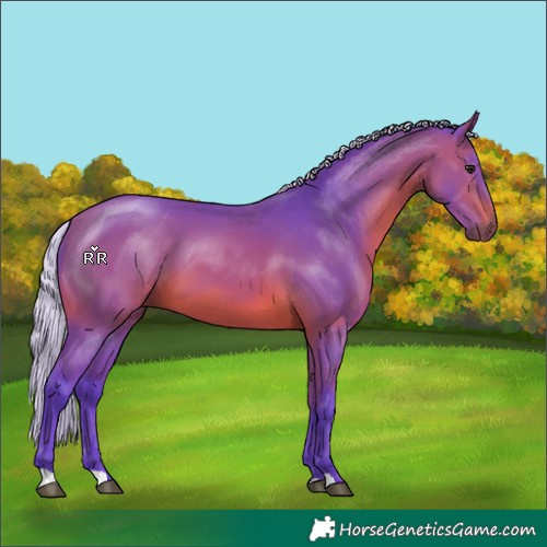 Horse Color:Watercolor Silver Brown 