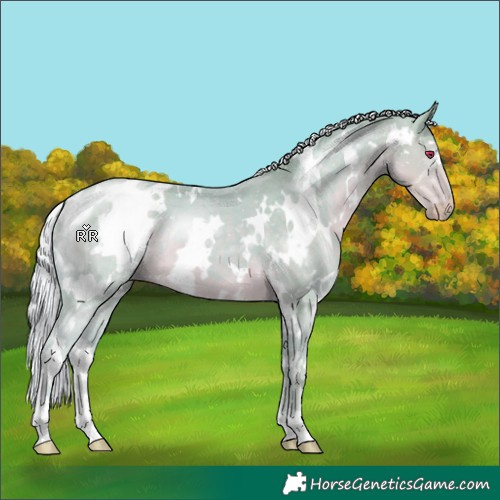 Horse Color:Watercolor White Spotted Silver Smoky Creme Chinchilla 