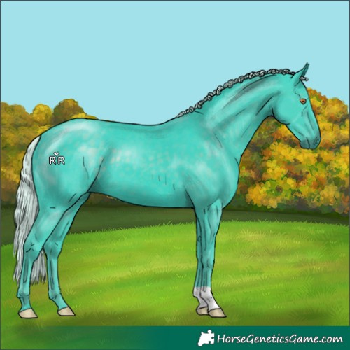 Horse Color:Watercolor Silver Black Chinchilla