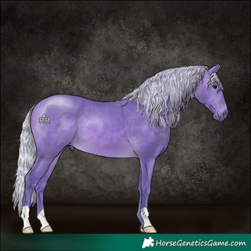 Horse Color:Watercolor Silver Buckskin 