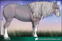 Horse Color:Watercolor White Spotted Silver Black 