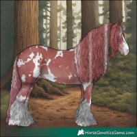 Horse Color:Watercolor White Spotted Chestnut 