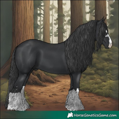 Horse Color:Black 