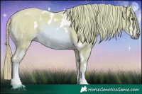 Horse Color:Watercolor White Spotted Chestnut 
