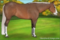 Horse Color:Silver Brown Splash 