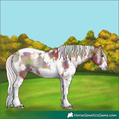 Horse Color:Nacre White Spotted Silver Blue Onyx Tobiano Frame 