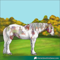 Horse Color:Nacre White Spotted Silver Blue Onyx Tobiano Frame 