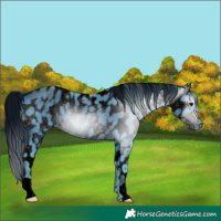 Horse Color:ERROR: UNKNOWN ANOMALY