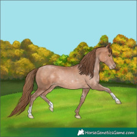 Horse Color:Brown Pearl Mushroom 