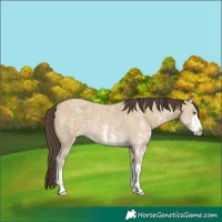 Horse Color:Classic Cream Champagne Dun Sabino