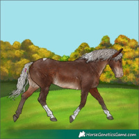 Horse Color:Silver Brown Tobiano Varnish