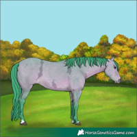 Horse Color:Watercolor Bay Ice Dun 