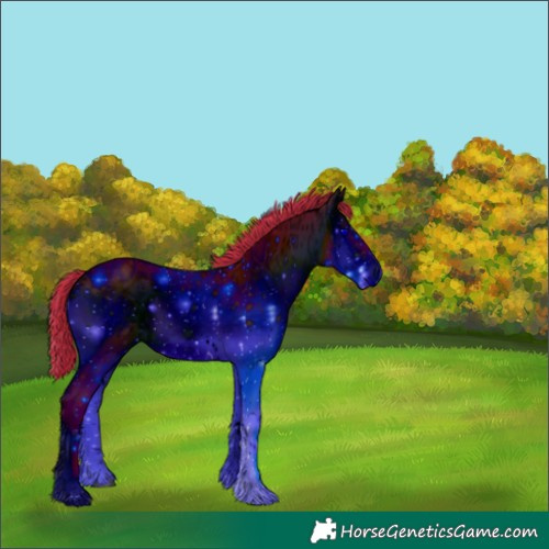 Horse Color:ERROR: UNKNOWN ANOMALY