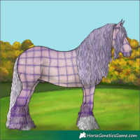 Horse Color:Watercolor Plaid  Silver Bay Chinchilla 
