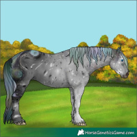 Horse Color:ERROR: UNKNOWN ANOMALY