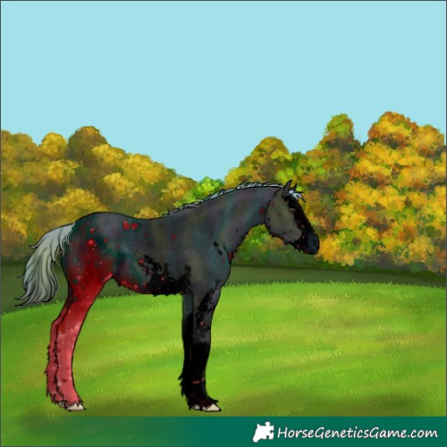 Horse Color:ERROR: UNKNOWN ANOMALY