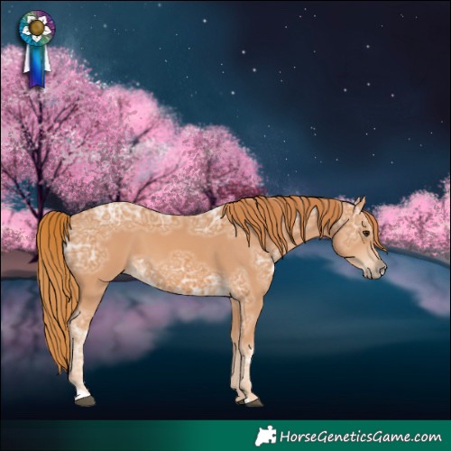 Horse Color:Chestnut Ice 