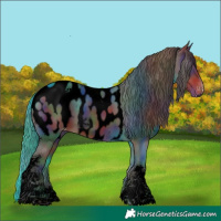 Horse Color:Void Nacre Liver Chestnut Sabino Tobiano Appaloosa 