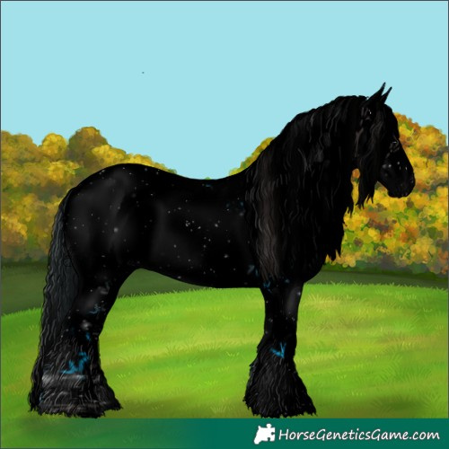 Horse Color:Void Liver Chestnut Sabino Snowcap Rabicano