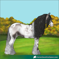 Horse Color:Platinum Liver Red Onyx Sabino Tobiano Rabicano 