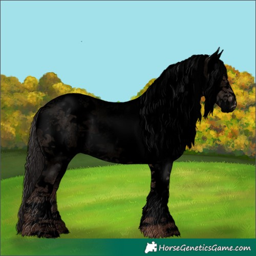 Horse Color:Void Sable Champagne Sabino Splash Tobiano Rabicano 