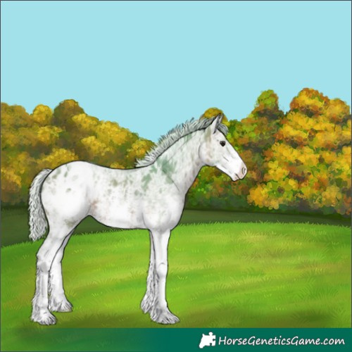 Horse Color:Watercolor Silver Bay Ice Sabino Varnish 