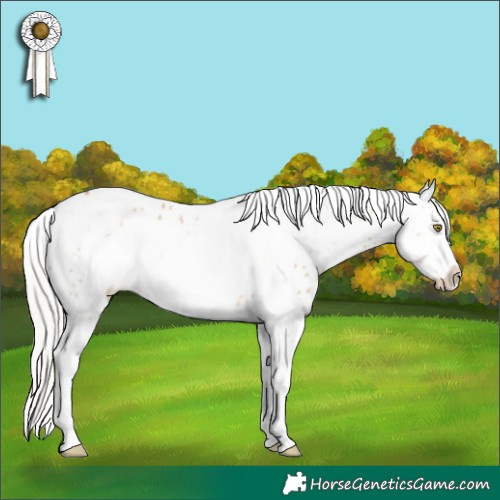 Horse Color:Silver Sable Champagne Dun Sabino Splash Frame Near Leopard Rabicano