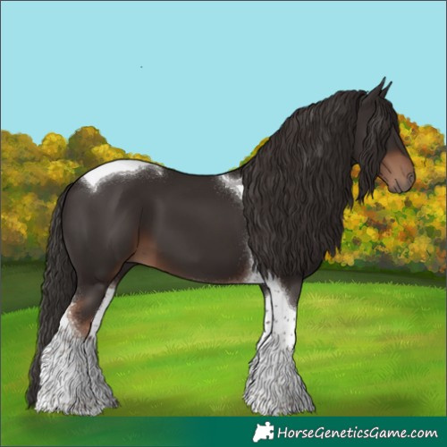 Horse Color:Liver Chestnut Tobiano 