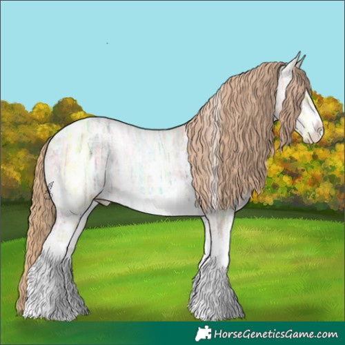 Horse Color:Gold Champagne Ice Pearl Sabino Appaloosa 
