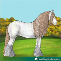 Horse Color:Gold Champagne Ice Pearl Sabino Appaloosa 