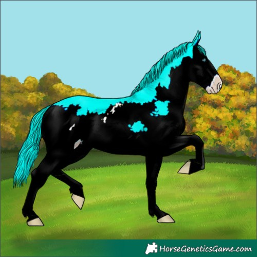 Horse Color:Classic Cream Champagne Pearl Splash 