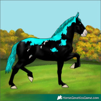 Horse Color:Classic Cream Champagne Pearl Splash 