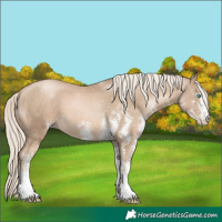 Horse Color:White Spotted Chocolate Palomino Pearl 