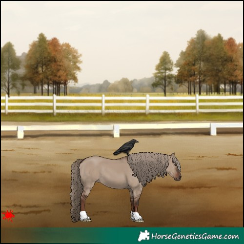 Horse Color:Liver Red Dun 