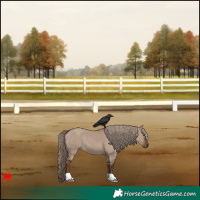 Horse Color:Liver Red Dun