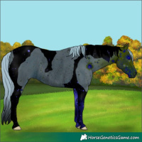 Horse Color:ERROR: UNKNOWN ANOMALY