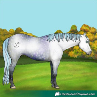 Horse Color:ERROR: UNKNOWN ANOMALY