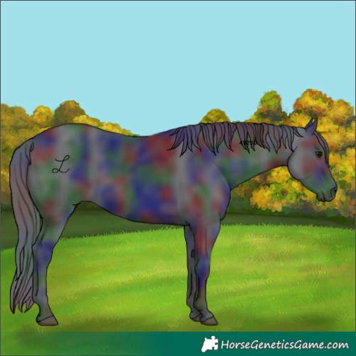 Horse Color:Nacre Black 