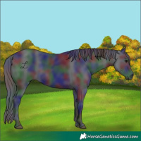 Horse Color:Nacre Black 