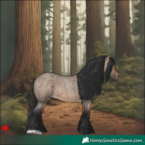 Horse Color:Brown Roan Dun
