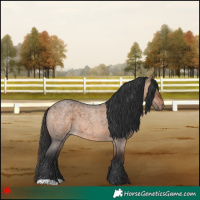 Horse Color:Brown Roan Dun 