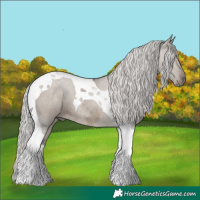 Horse Color:Silver Grullo Tobiano 
