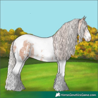 Horse Color:Silver Amber Champagne Sabino Tobiano Rabicano