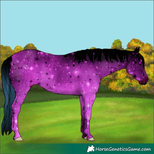 Horse Color:ERROR: UNKNOWN ANOMALY