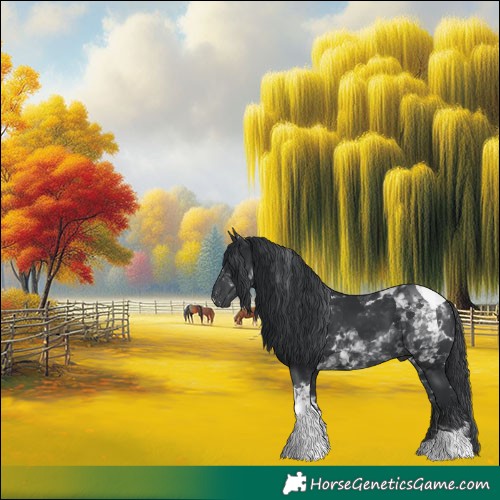 Horse Color:Black Tobiano 