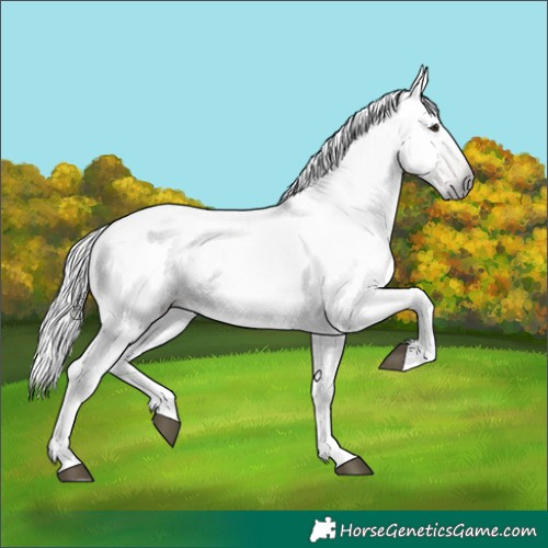 Horse Color:Gray Chestnut Mushroom Blanket 