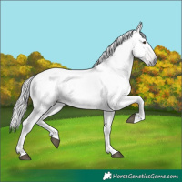 Horse Color:Gray Chestnut Mushroom Blanket 