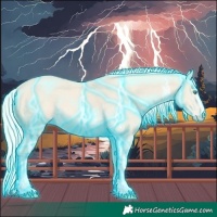 Horse Color:Thunderstruck Cremello Sabino 