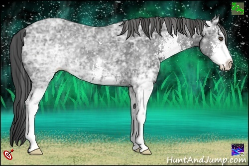 Horse Color:White Spotted Smoky Black Ice Sabino