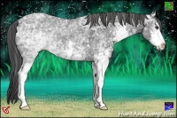 Horse Color:White Spotted Smoky Black Ice Sabino